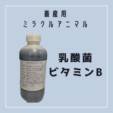 畜産用ミラクルアニマルの使い方｜乳酸菌・酵母菌・ビタミンB・酵素を含有した植物発酵エキス混合飼料 (A飼料）